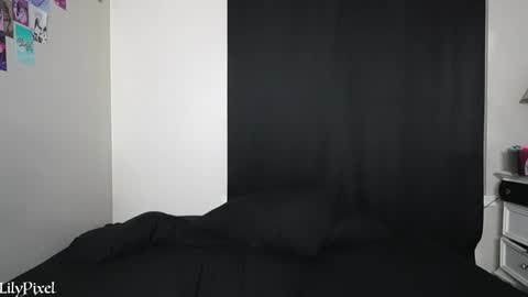 Snapshot of lilypixel chatting on January 13, 2025, 2:07 am Liliana Marie Pixelate online show from January 13, 2025, 2:07 am