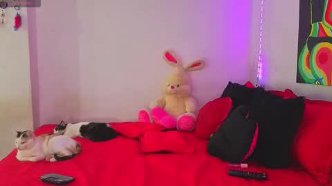 Snapshot of linda_rose28 chatting on September 16, 2025, 2:07 pm linda_rose28 online show from September 16, 2025, 2:07 pm