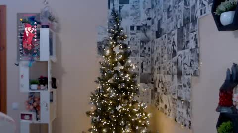 Snapshot of liniq chatting on December 14, 2024, 5:47 pm Lina online show from December 14, 2024, 5:47 pm