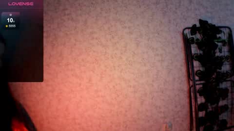 linnsweety online show from September 18, 2025, 8:38 am