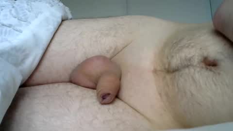 lion2662 online show from January 3, 2025, 10:41 am