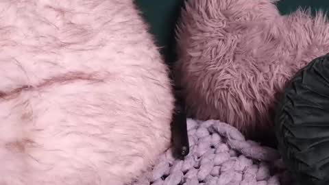 Snapshot of lireesa chatting on October 2, 2025, 4:52 am Lire online show from October 2, 2025, 4:52 am