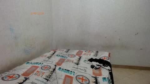 little__scarlet online show from May 29, 2026, 2:37 pm