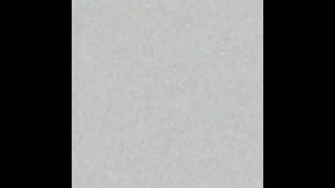 Alice.. online show from November 23, 2025, 8:14 am