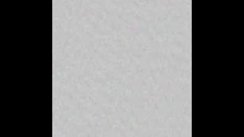 Snapshot of little_pearl_ chatting on February 9, 2026, 5:33 am Adaline online show from February 9, 2026, 5:33 am