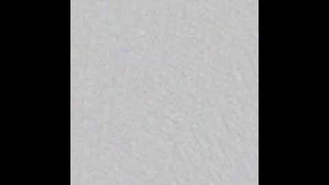 Snapshot of little_pearl_ chatting on February 15, 2026, 5:26 am Adaline online show from February 15, 2026, 5:26 am