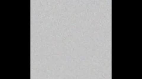 Snapshot of little_pearl_ chatting on March 2, 2026, 5:41 am Adaline online show from March 2, 2026, 5:41 am