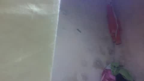 Snapshot of littleyanah chatting on September 11, 2025, 11:21 am yanah online show from September 11, 2025, 11:21 am