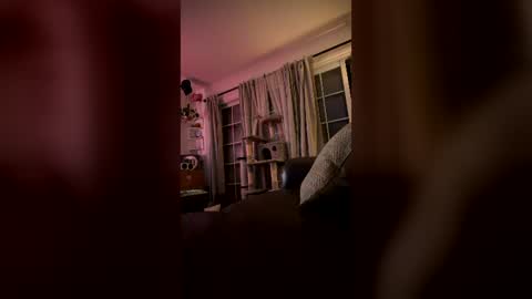 Snapshot of livtheenigma chatting on June 30, 2026, 6:36 am livtheenigma online show from June 30, 2026, 6:36 am