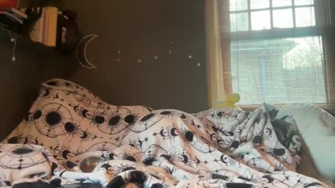 Snapshot of lizzyylovesick chatting on March 5, 2025, 4:57 pm lizzybunny online show from March 5, 2025, 4:57 pm