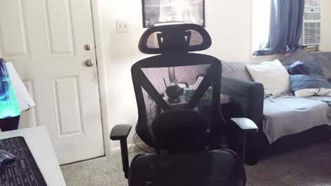 LongDick Daddy online show from January 5, 2026, 6:22 pm