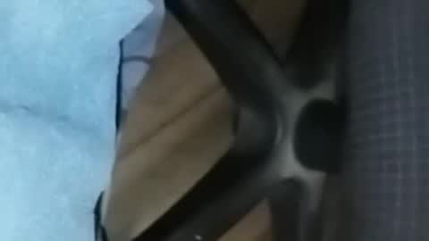 loco_boy007 online show from February 16, 2026, 7:10 pm