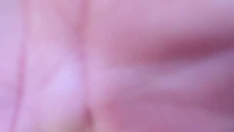 logan online show from April 15, 2026, 12:12 pm