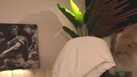 Snapshot of logan_varela chatting on February 5, 2025, 4:16 am logan_varela online show from February 5, 2025, 4:16 am