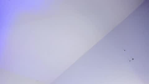 Logan online show from October 16, 2025, 8:04 am