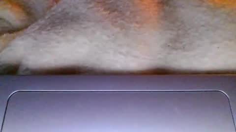 lolalovergirl333 online show from April 17, 2026, 12:02 am