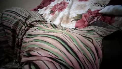 lolly_sexxy online show from February 6, 2026, 10:07 am