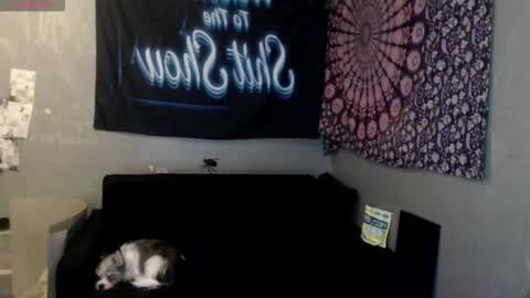 Snapshot of londonray chatting on October 8, 2025, 6:11 am londonray online show from October 8, 2025, 6:11 am