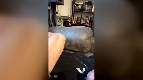 Snapshot of longhairhunky chatting on March 7, 2026, 11:35 pm longhairhunky online show from March 7, 2026, 11:35 pm