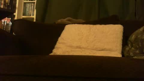 longlorne online show from February 15, 2026, 4:31 am