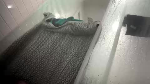 Snapshot of lovefeetonmyface29 chatting on September 22, 2025, 9:55 am lovefeetonmyface29 online show from September 22, 2025, 9:55 am