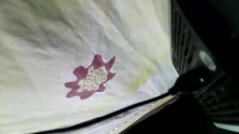 lovelypinay2 online show from February 5, 2025, 3:34 am