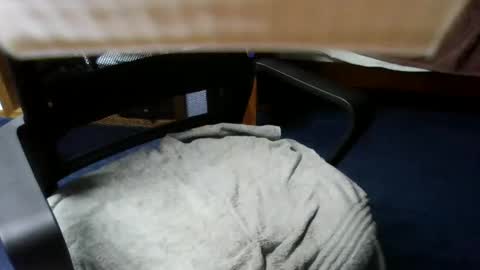 lovetolick272988 online show from October 21, 2025, 2:34 am