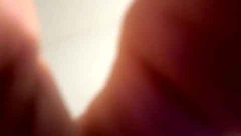 low8911 online show from February 21, 2026, 5:41 am