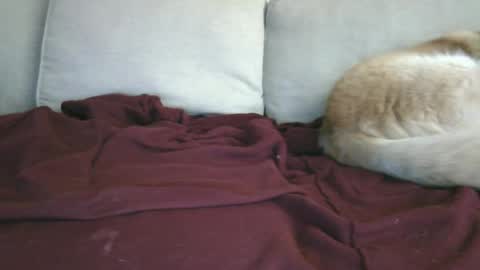 Snapshot of lowhangingfruit93 chatting on January 26, 2025, 3:48 am lowhangingfruit93 online show from January 26, 2025, 3:48 am