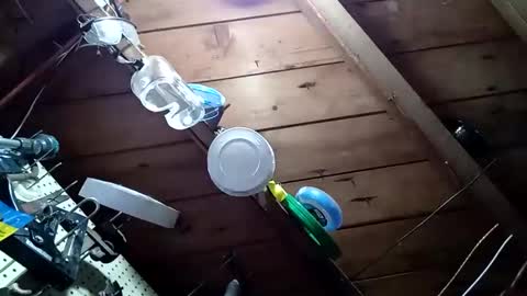 lowtidehightide online show from November 25, 2025, 4:51 pm