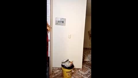 luana363 online show from January 11, 2026, 4:50 am