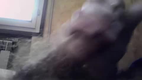 Snapshot of lucafava90 chatting on January 4, 2025, 9:32 am lucafava90 online show from January 4, 2025, 9:32 am