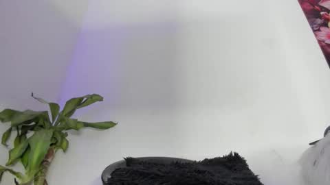 luciana online show from December 21, 2025, 2:30 am