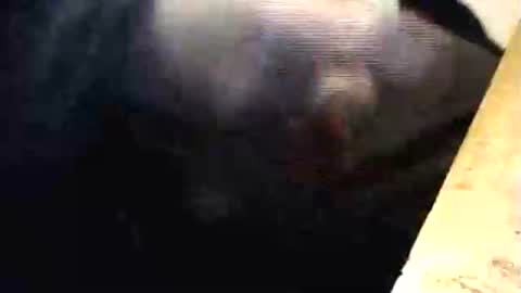 lukestarfckr online show from March 1, 2026, 6:32 pm