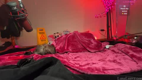 Snapshot of luna_luuvz chatting on February 24, 2026, 3:37 am Luna Luuvz online show from February 24, 2026, 3:37 am