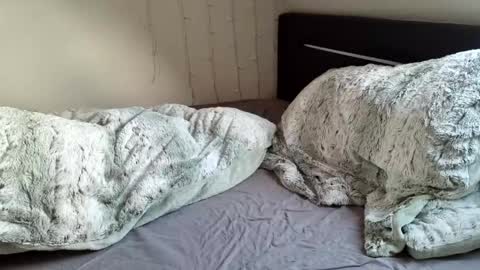 Snapshot of lunaticminx chatting on December 20, 2024, 11:10 am Luna powered by bitch dust online show from December 20, 2024, 11:10 am