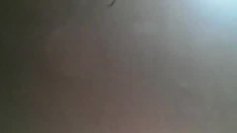 Bee Bee online show from March 25, 2026, 4:29 am