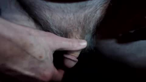 lwg1951 online show from April 8, 2026, 4:01 am