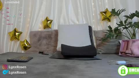 Lynx Rosen online show from January 17, 2025, 9:06 pm