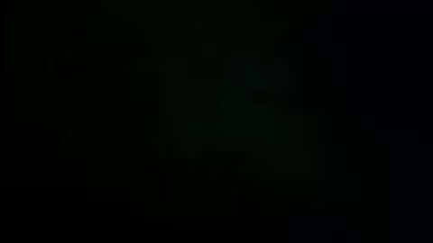 Hotandhairy online show from October 15, 2025, 1:11 pm