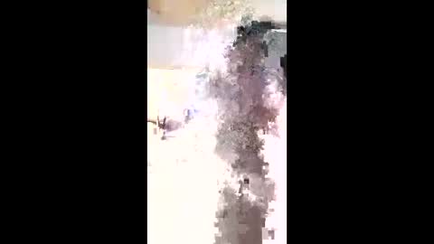 maciasbraulio846 online show from February 3, 2026, 6:00 am