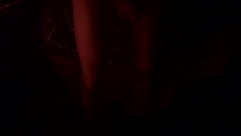 Snapshot of macsammacfuck833109 chatting on October 31, 2025, 10:49 am slyshyguy69 online show from October 31, 2025, 10:49 am