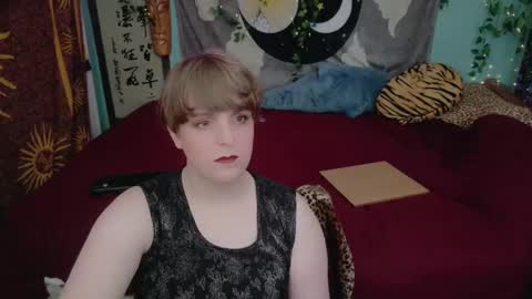 Snapshot of maddy_cat chatting on October 27, 2025, 4:22 pm Maddy Cat online show from October 27, 2025, 4:22 pm