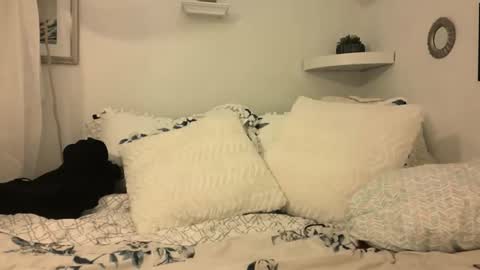 Snapshot of madie_ray chatting on February 21, 2025, 5:46 am Madie Ray online show from February 21, 2025, 5:46 am