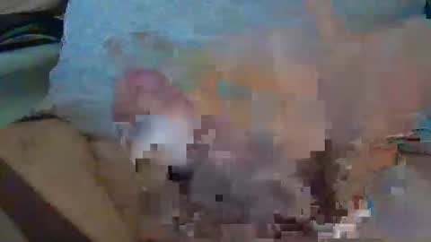 Max online show from December 16, 2025, 1:05 pm