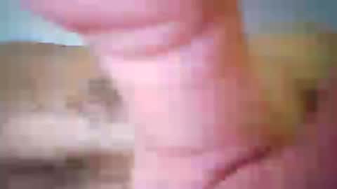 maho0 online show from July 4, 2026, 1:06 pm