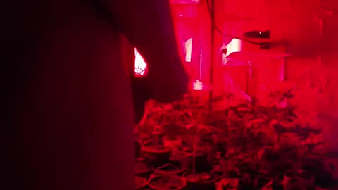 Snapshot of maicom222 chatting on October 12, 2025, 2:43 am SILVA online show from October 12, 2025, 2:43 am