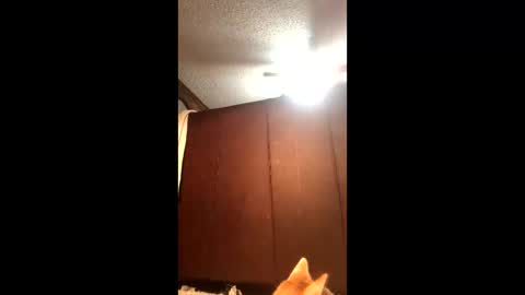 Snapshot of makinziirain chatting on February 21, 2026, 12:11 am KarizmaticKitten online show from February 21, 2026, 12:11 am