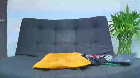 Malcom online show from February 6, 2026, 2:16 am