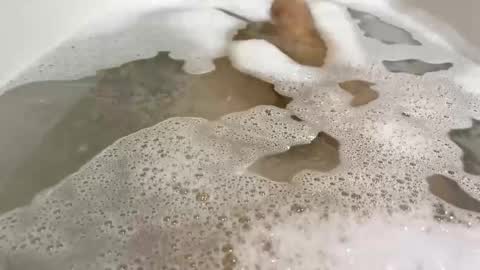 Snapshot of malekula1 chatting on November 10, 2025, 9:03 pm Monad online show from November 10, 2025, 9:03 pm